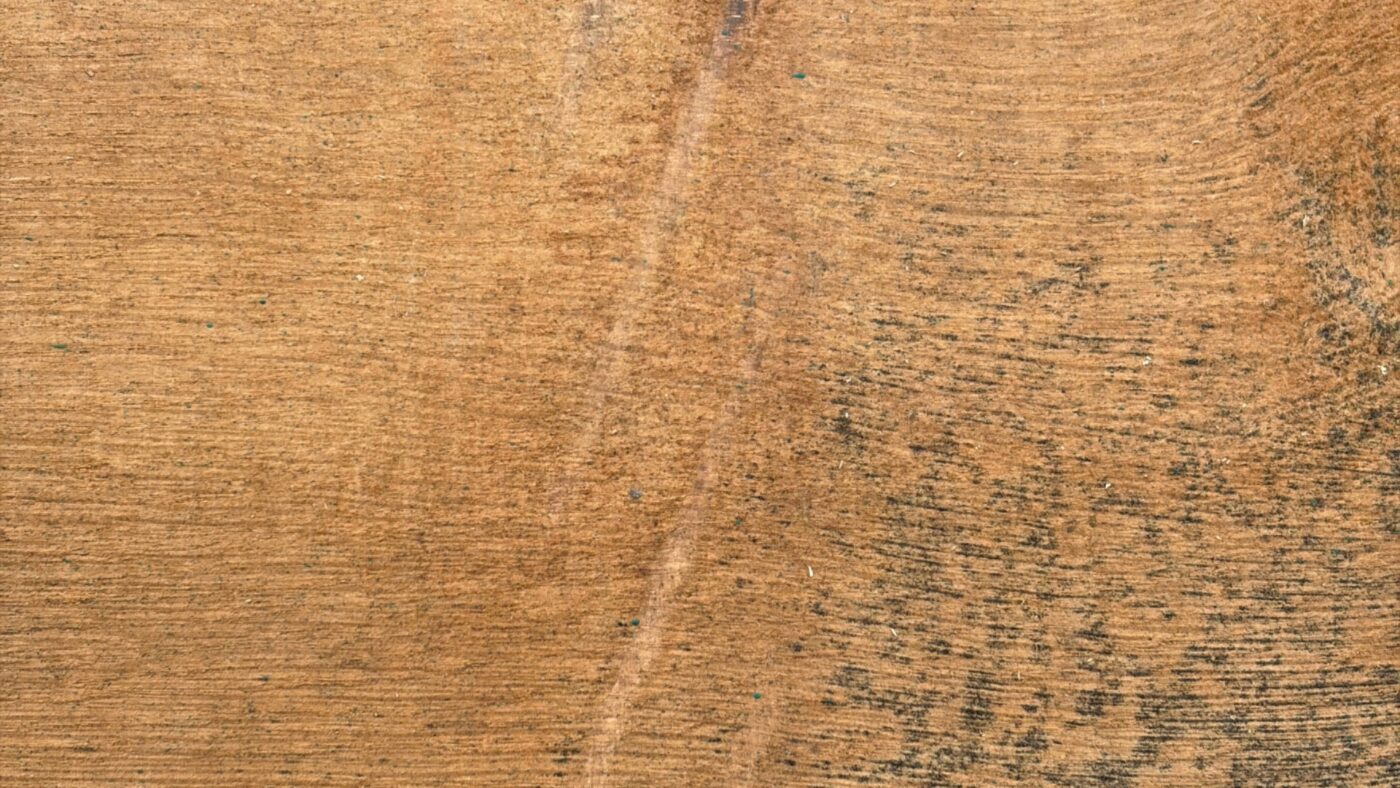 Natürliche, wolkige Verfärbung im Holz der Eiche Massivholz Altholzbohlen